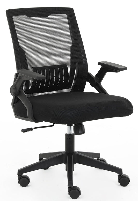 Aurigalogic Ergonomic Mesh Chair – Flip-Up Arms, Lumbar Support & Adjustable Height